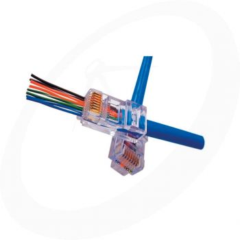 BELDEN EZ-RJ45 - Cat.6 connector - Platinum Tools - 100 stuks 